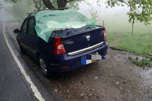 FOTOGALERIE. Maşină avariată după ce un copac a căzut peste ea