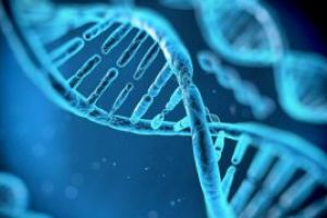 Crima din Baia Mare: Ancheta intra intr-o noua etapa. Ce se intampla cu probele ADN