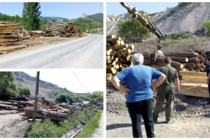 FOTO/ SCUTUL PĂDURII: 107 metri cubi de material lemnos confiscaţi de poliţiştii din Alba şi amendă în valoare de 10.000 de lei, în urma unui control la o firmă din Poiana Aiudului