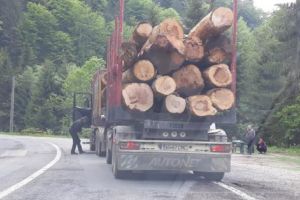 Operatorii din turism se încaieră cu CNAIR, iar pădurile dispar pe Transfăgărăşan!