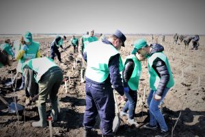 Peste 23 000 de voluntari prezenţi la acţiunile de ÎMPĂDURIRE derulate de ROMSILVA