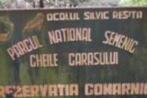 Șicanări pe un drum din Parcul Naţional Semenic – Cheile Caraşului! Agent Green a filmat întreaga scenă [VIDEO]