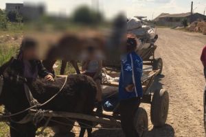 Doi carutasi au ramas fara atelaje dupa ce au fost depistati pe strazile din Constanta de Politia Locala