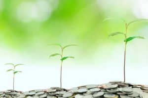 Noi prevederi pentru achiziţiile derulate de beneficiarii PNDR 2020