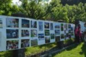 Rangeri juniori în Munţii Ţarcu. „Aceşti copii au înţeles importanţa implicării“!