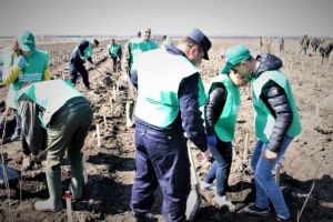 Zeci de mii de voluntari la acţiunile de reîmpădurire a României
