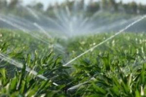 Fermierii vor primi gratuit şi anul acesta apa pentru irigat; 26.000 de hectare au fost deja irigate (ministru)