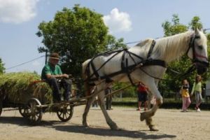 Orăşenii îi plătesc pe ţărani ca să fie lăsaţi să le cosească fânul