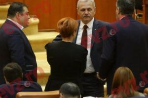 Thriller în PSD: „Dacă Dragnea nu va fi achitat, e clar că vor fi 7 PSD-uri mai mici”