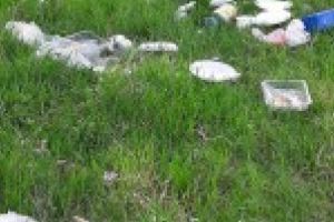 Amenzi pentru brailenii care au lasat gunoi pe domeniu public