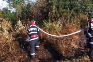 Incendiu de proporţii la Islaz