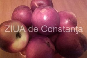 Nectarinele au un continut mai mic de calorii decat piersicile