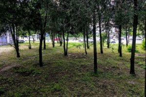 Comisia de urbanism a Consiliului Local Municipal, aviz negativ pentru PUZ-ul blocului pe care patronul de la Ruana il vrea pe Aurel Vlaicu