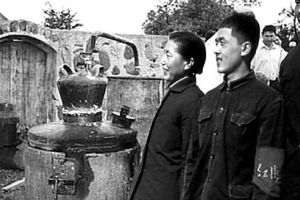 Pamflet trist cu garnitură de orez