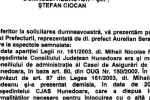 Mişule, noi te dorim, că ca tine nu găsim!