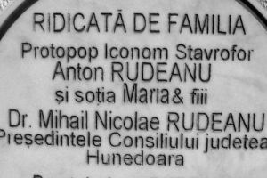 Eu sunt Vodă, cel mai tare, De oameni în cot mă doare