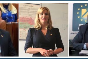 JURNALUL de PARLAMENTAR