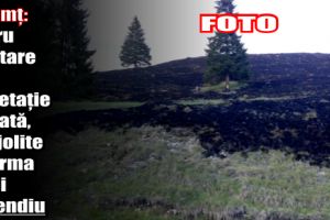 Neamţ: Patru hectare de vegetaţie uscată, pârjolite în urma unui incendiu