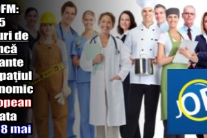 ANOFM: 1285 locuri de muncă vacante în Spaţiul Economic European la data de 18 mai