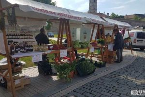 FOTO LIVE VIDEO: S-a deschis Târgul ”Gustos de Alba” 2018. Bucate alese, preţuri pentru toate buzunarele, demonstraţii culinare şi concursuri