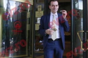 Gorghiu: Orban nu a consultat PNL în cazul Dăncilă