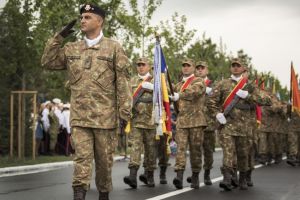 Spectacol oferit de Fortele Aeriene Regale impreuna cu aliatii NATO la parada de Ziua Eroilor (galerie foto)