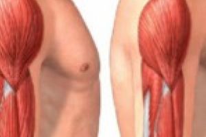 Participarea ministrului Sanatatii la Conferinta Nationala “Distrofia musculara, familii si specialisti impreuna in aceeasi cauza”