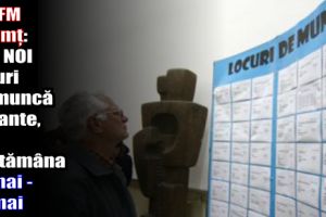 AJOFM Neamţ: 245 NOI locuri de muncă vacante, comunicate în săptămâna 14-18 mai