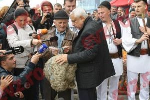 Roşiile lui DAEA sunt SĂNĂTOASE tun