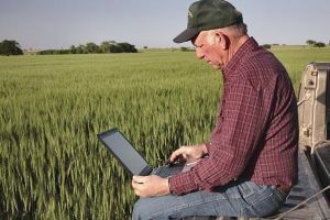 Fermieri în baston. Peste jumătate dintre producătorii agricoli care care cer subvenţii sunt în prag de pensionare