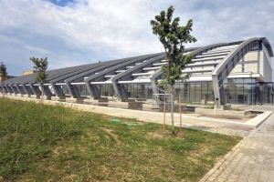 Laserul de la Măgurele, cel mai puternic din lume, a fost pus în funcţiune