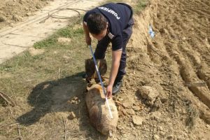 Misiune indeplinita. Bomba de aviatie descoperita in judetul Tulcea a fost distrusa (galerie foto)