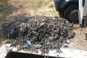 HALUCINANT: Ce ARUNCĂ arădenii în vasul de TOALETĂ?