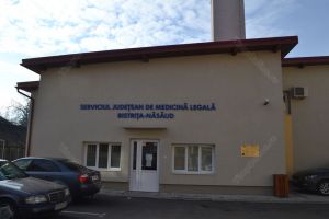 Cum s-a ajuns la două cazuri de pornografie infantilă în BN. Sfaturile medicilor legişti pentru părinţi