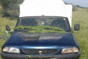 Ceasul rău! Un infractor condamnat la închisoare era căutat de poliţie de un an, dar a fost găsit de o şoferiţă nervoasă