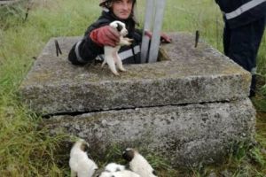 Operaţiune specială ale pompierilor de la ISU Tulcea