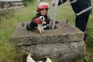 Interventie deosebita a pompierilor la Babadag, judetul Tulcea. Pentru ce au fost solicitati militarii (galerie foto)