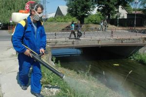 În sfârşit! Între 22-25 mai e programată dezinsecţia zonelor publice din Oradea şi tratamentul fitosanitar al arborilor
