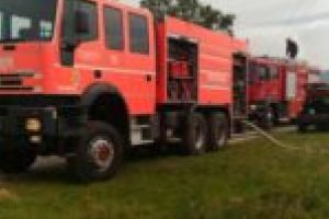 Doi pui de pisică, salvaţi de două echipaje de pompieri