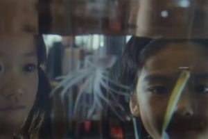 SURPRIZĂ IMENSĂ la Festivalul de Film de la Cannes. Cine a câştigat PRESTIGIOSUL Palme d'Or. Nimeni NU se aştepta -VIDEO 