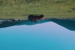 Descoperirea care a ULUIT Planeta! Dragostea este ÎNTR-ADEVĂR în AER. Avem imaginile care DOVEDESC totul - Galerie Foto 