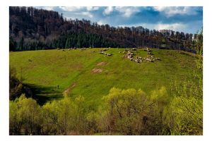 Potrivit unui proiect care a obţinut votul senatorilor,  locuitorii Munţilor Apuseni ar putea avea  parte de mai multe facilităţi