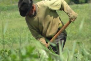 Îmbătrânirea, o problemă serioasă în agricultura românească
