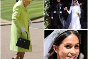 Ținuta reginei Elisabeta a Marii Britanii, analizată de specialist. Ce reprezintă culorile pe care le-a ales