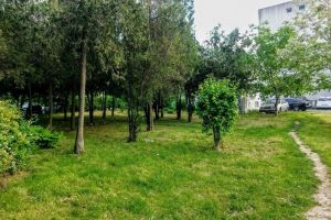 PUZ-ul proiectului imobiliar de pe bulevardul Aurel Vlaicu al patronului fabricii de mobila Ruana, un nou aviz negativ de la Comisia de Urbanism a Consiliului Local Municipal