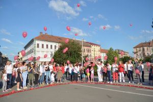 Aradul a marcat Ziua Internaţională a Lumânărilor Aprinse (GALERIE FOTO)