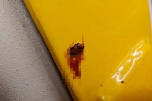 Ploşniţe semnalate într-un tramvai din Timişoara. Ce spune STPT