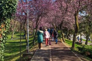 Luna Martie în tradiţia românească: Mărţişorul, echinocţiul şi începutul anului agrar