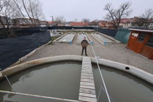 FOTOREPORTAJ. Când îţi faci treaba cu pasiune, n-are cum să nu-ţi iasă!