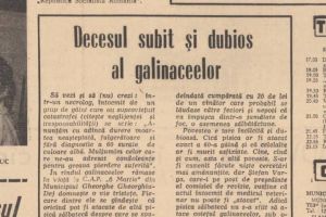 Șaizeci de găini şi o pisică — sau despre aritmetica miracolelor agricole